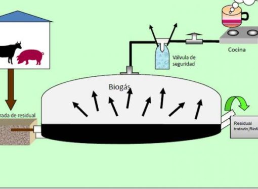 ﻿El combustible que surge de las reacciones químicas de microorganismos, y de las Bacterias   orgánica en descomposición.