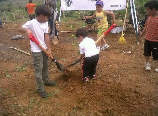 Los estudiantes no podrán graduarse si no plantan 10 arboles, es una ley aprobada en Filipina