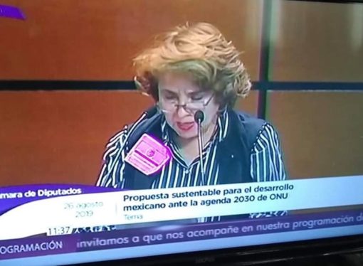 La Dra. Rosalina Báez Martínez solicito su urgente intervención para que a través de las autoridades rectorales  se giren las instrucciones  necesarias para que se establezca un programa emergente que desde la educación básica