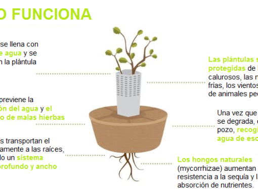 La solución a la reforestación. El Cocoon