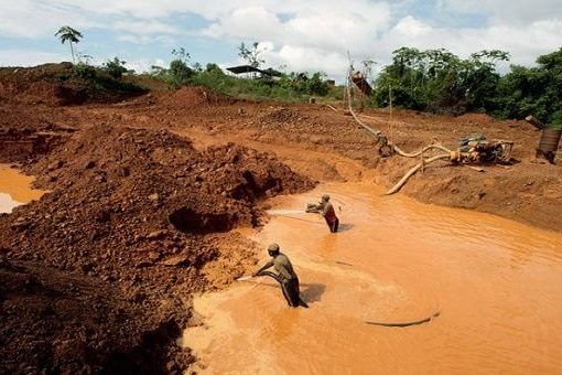 Hombres y mujeres indígenas dejan sus comunidades ancestrales y pequeñas haciendas para llevar a cabo un trabajo agotador y peligroso