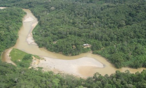 «Bolsonaro Enfermo a los yanomamy están contaminadas con mercurio, ya  el 92%. están contaminados, la Fundación Oswaldo Cruz (Fiocruz) y el Instituto Socio ambiental (ISA) asi lo revelaron