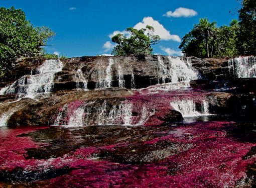 El “río más hermoso del mundo”, llamado Caño Cristales