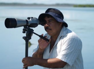 Tororoi Bailador Solo existen en Colombia no están del todo cubiertas por las áreas protegidas