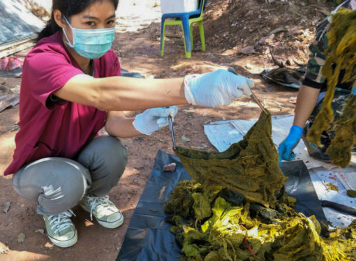 Los turistas dejan ropa interior, servilletas, y todo tipo de basura en bolsas plasticas, según las fotos proporcionadas por el parque