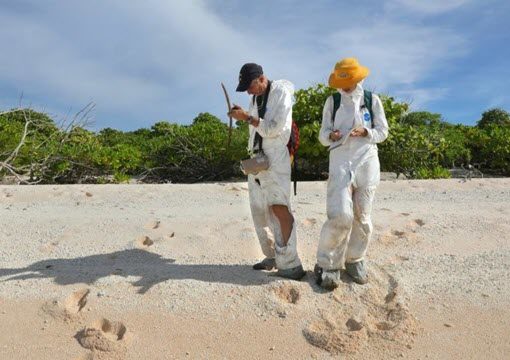 No se podrá albergar vida durante los próximos 24.000 años. ataúd nuclear del mundo se rompe