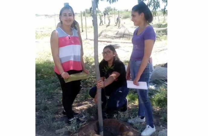 Hicimos actas de compromiso con los vecinos, el plan contempla el cuidado de los árboles”, dijo Viviana Cortez, docente de la escuela