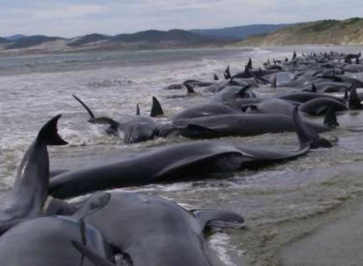 Los Océanos Atlántico, Pacífico e Índico alcanzaron el récord de  calidez el mes pasado