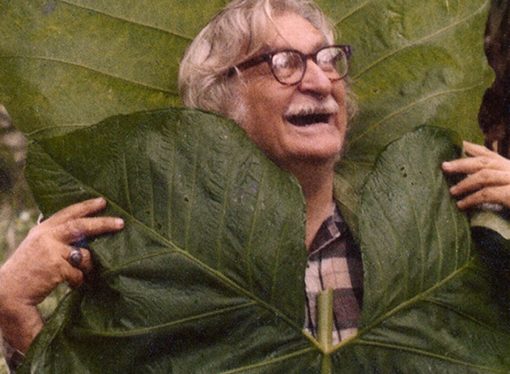 Roberto Burle Marx diseñador por excelencia, el Parque del este caracas, ya es sesentón