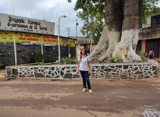 La Ambientalista Yrina Gazzaneo debajo de la Ceiba en el Callao Venezuela  para el mundo