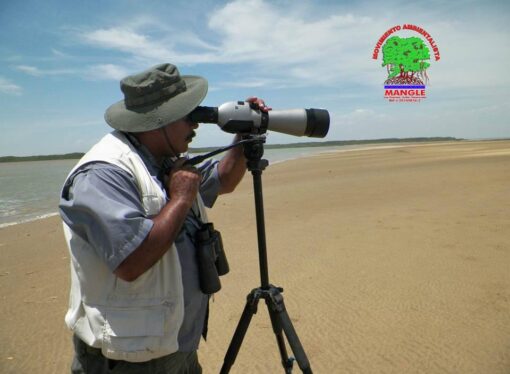 «Las Aves Del Zulia Bellas, y Amenazadas»